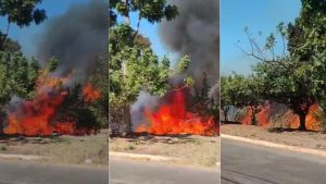 incêndio