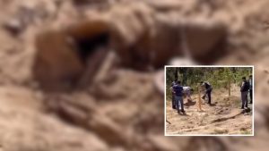 Corpo com sinais de execução é encontrado em buraco próximo à MT-471 em Rondonópolis; veja vídeo