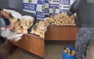 Motorista sem documentos transportava 400 kg de droga