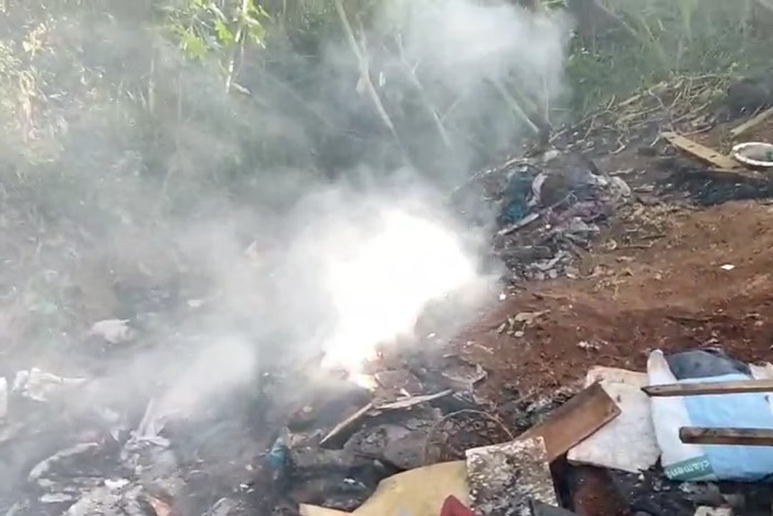 Funcionários de parque encontram dois corpos carbonizados; veja vídeo