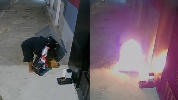 Homem coloca fogo em casinha de cachorros de rua