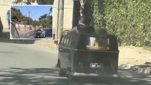 “Vontade de ser criança de novo!” Família faz passeio em veículo inusitado e chama atenção