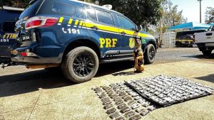 Casal é preso com 17 Kg de haxixe escondidos em carro na BR-060