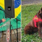 Bombeiros fazem despedida emocionante para o cão de resgate Guapo, morto após câncer